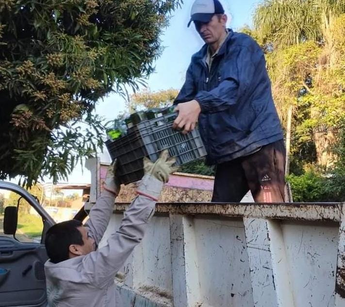 Posadas: se retiraron 380 toneladas de objetos en desuso para combatir el Aedes aegypti