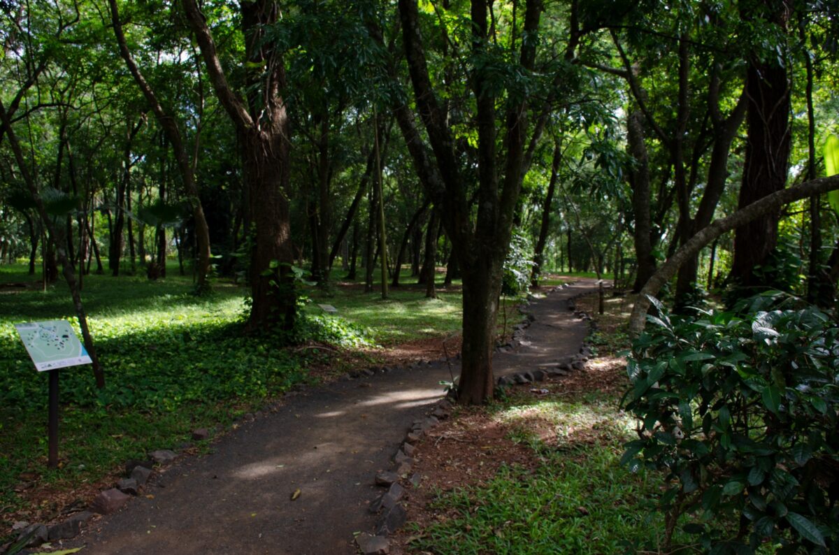 Jardin Botanico 1 - 3