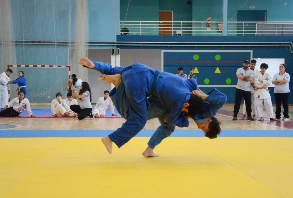 Las finales provinciales de los juegos deportivos misioneros están a la vista 1 Las finales provinciales de los juegos deportivos misioneros están a la vista