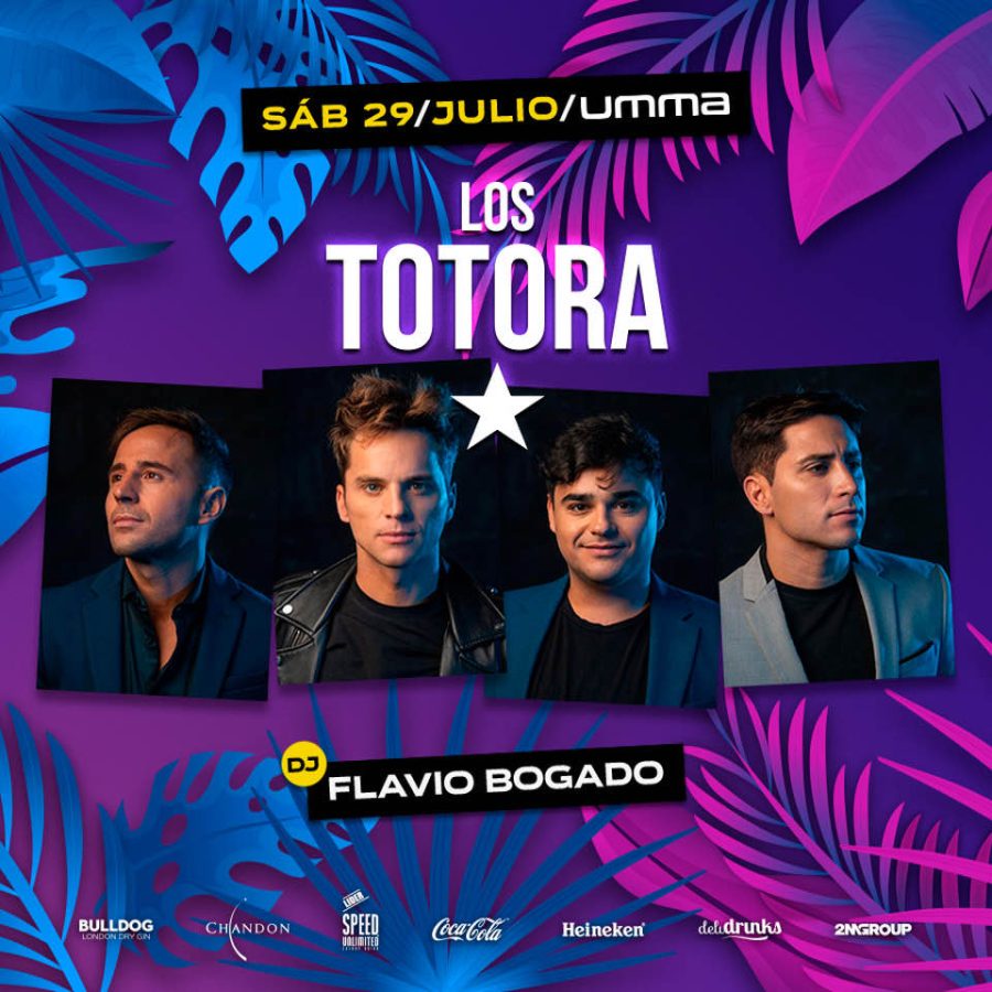 Los Totora Posadas 1 - 1