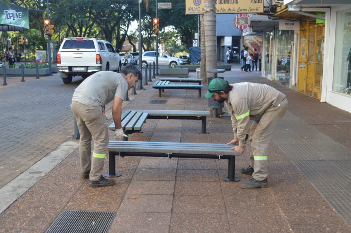 Mejoran los bancos de Calle Paseo para embellecer el centro de la ciudad