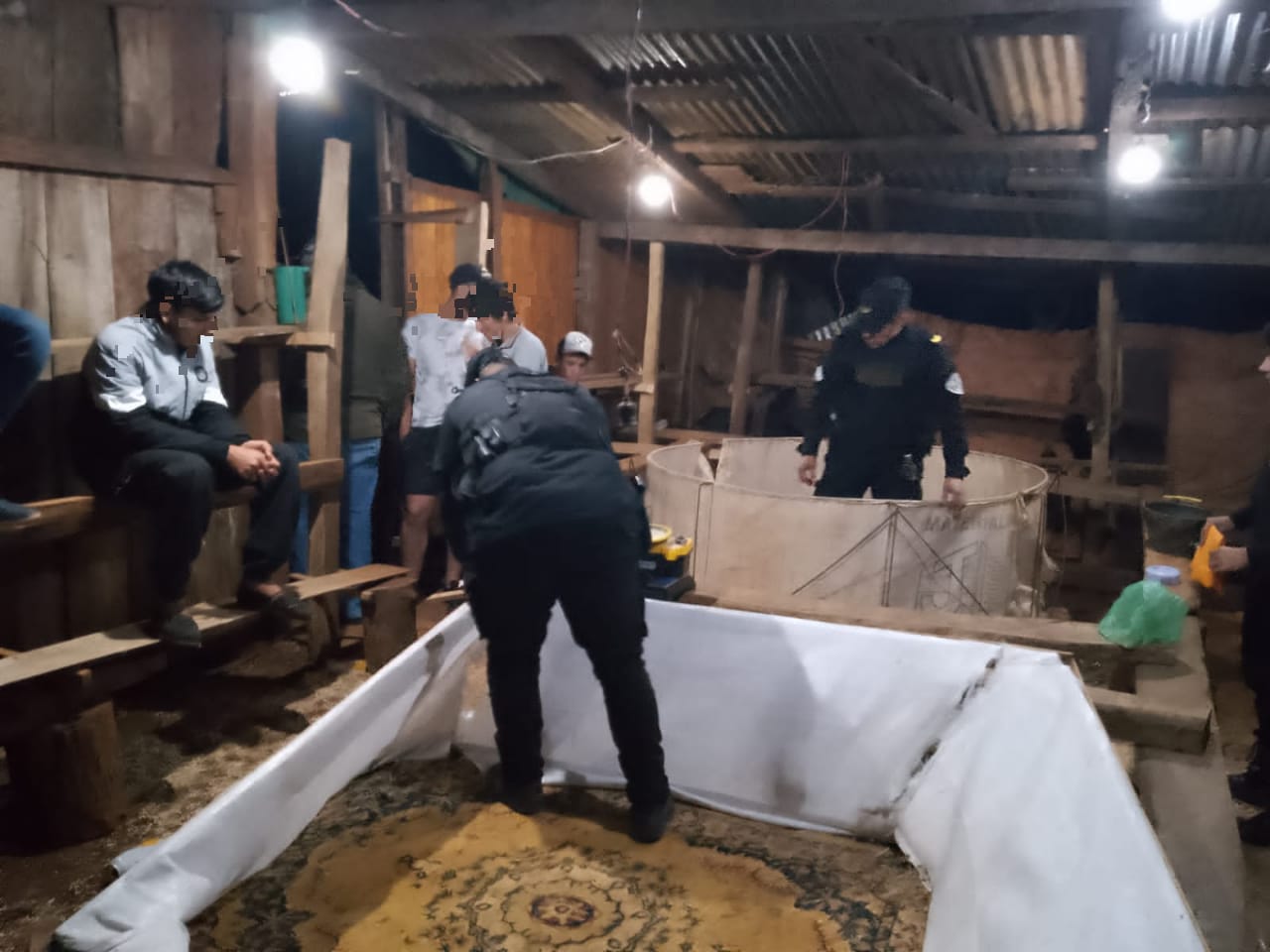 Desmantelaron una red de peleas clandestinas de gallos en Campo Grande 2 Desmantelaron una red de peleas clandestinas de gallos en Campo Grande