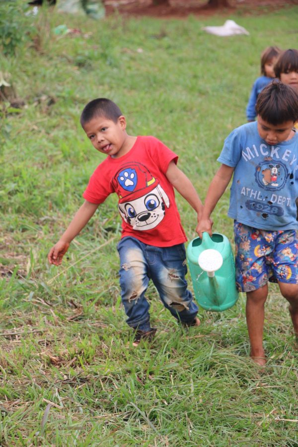 Una comunidad Mbya Guaraní buscar recuperar un monte nativo en San Ingacio 1 1 - Comunidad Mbya