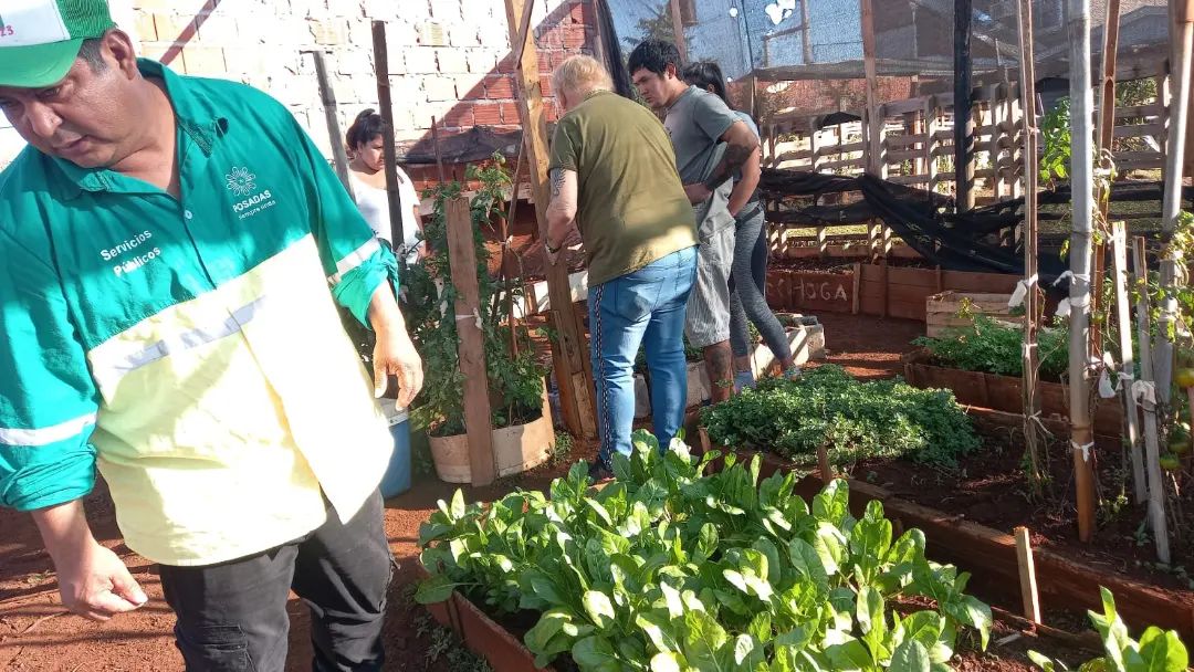 Huerta Escolar
