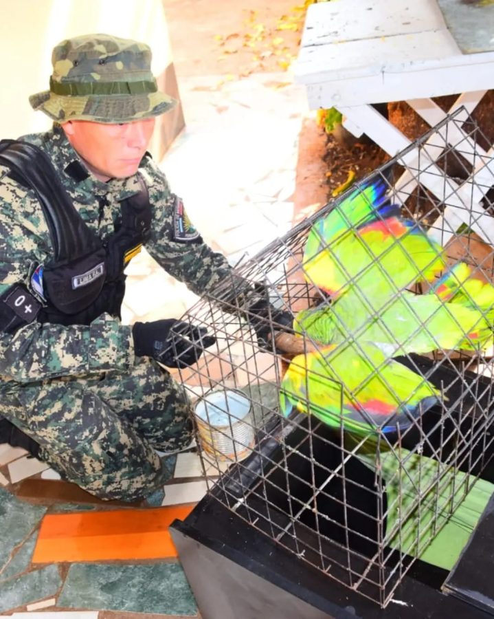 animales en peligro 3 - 5