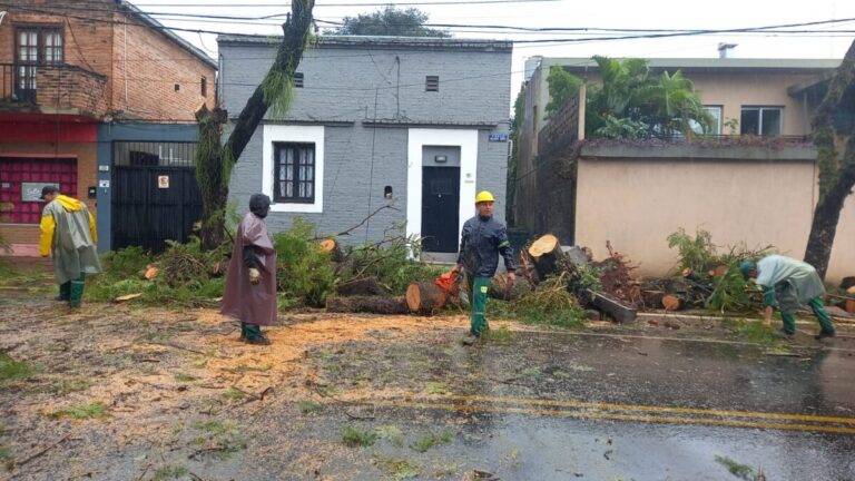 Brindaron asistencia a familias afectadas por las intensas precipitaciones en Posadas