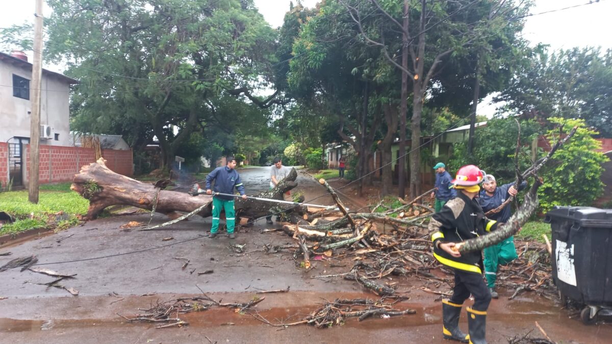 Brindaron asistencia a familias afectadas por las intensas precipitaciones en Posadas