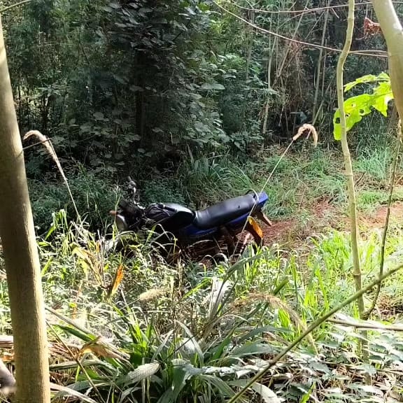 Caza furtiva: confiscaron motocicletas, armas de fuego y un animal faenado en el parque Urugua-í