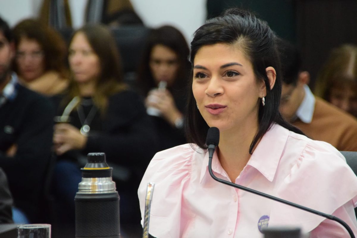 Concejales posadeños aprobaron la creación del programa de prevención y detección temprana de la violencia