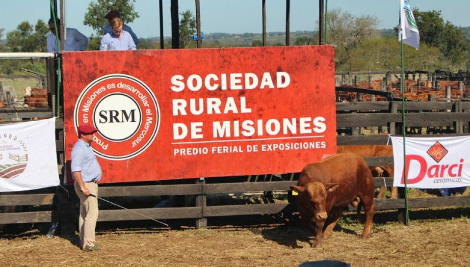 Este miércoles se lanza la edición N° 11 de la Expo Rural