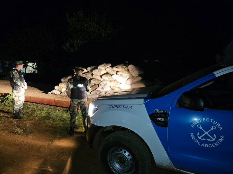 El Soberbio: secuestraron más de 10 toneladas de soja ilegal en dos operativos