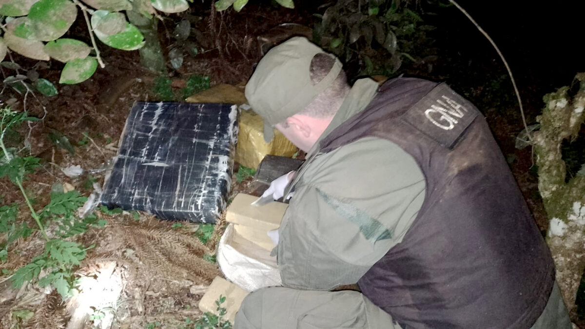 Encontraron más de tres toneladas de marihuana ocultas entre la maleza en El Alcázar