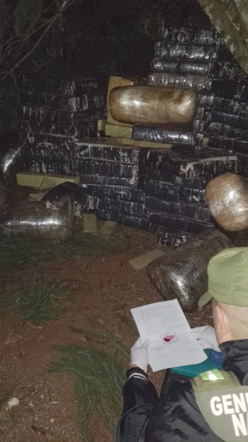 Encontraron más de tres toneladas de marihuana ocultas entre la maleza en El Alcázar