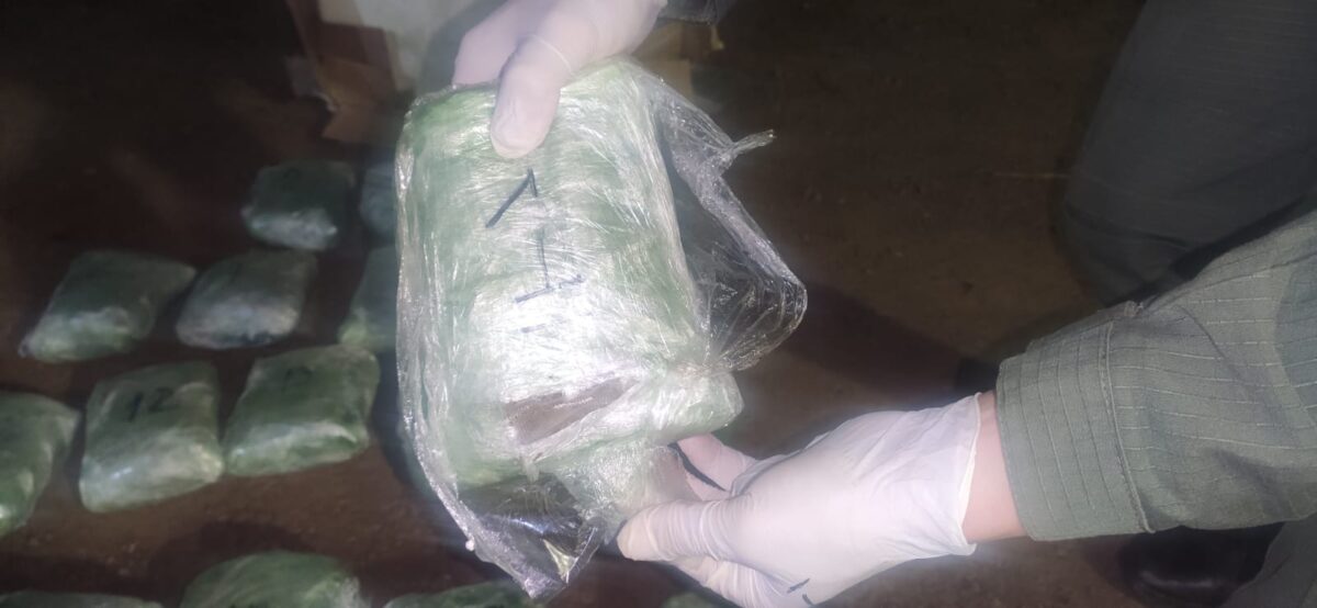 marihuana san ignacio 2 - 1