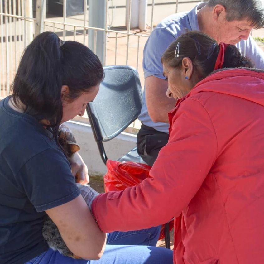 operativo integral Posadas 2 - 3