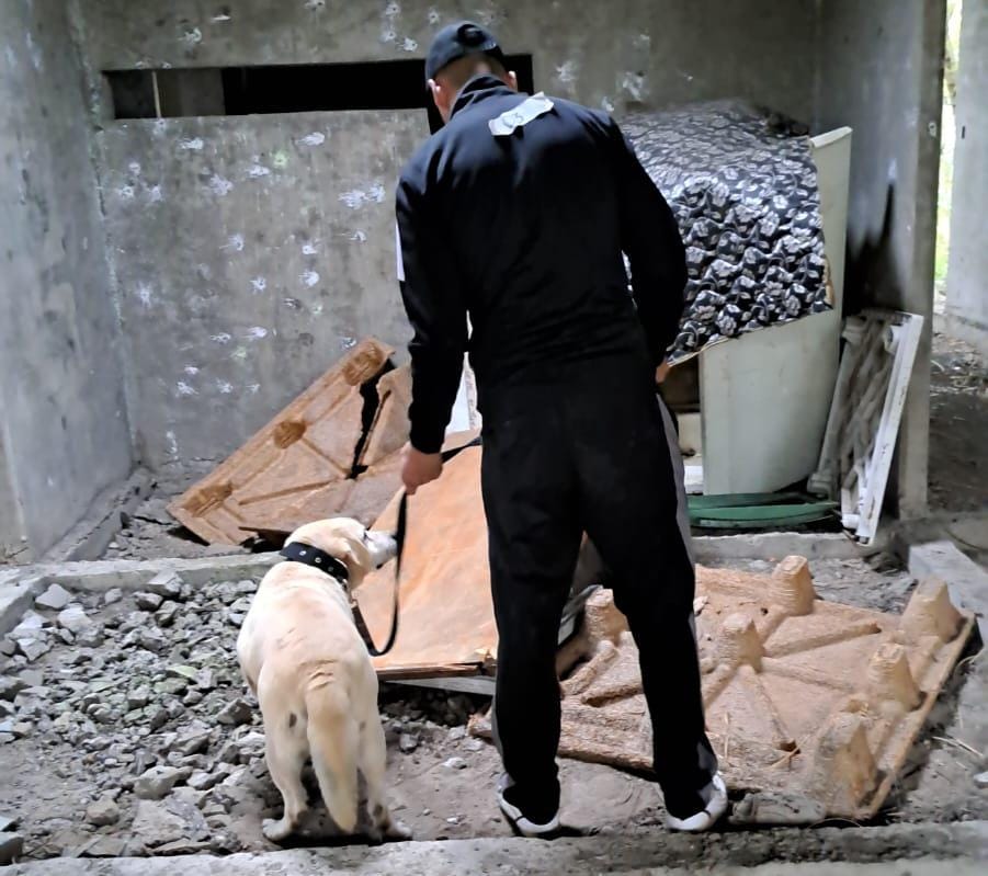 Penitenciarios se capacitaron en adiestramiento de canes antinarcóticos 1 Penitenciarios se capacitaron en adiestramiento de canes antinarcóticos