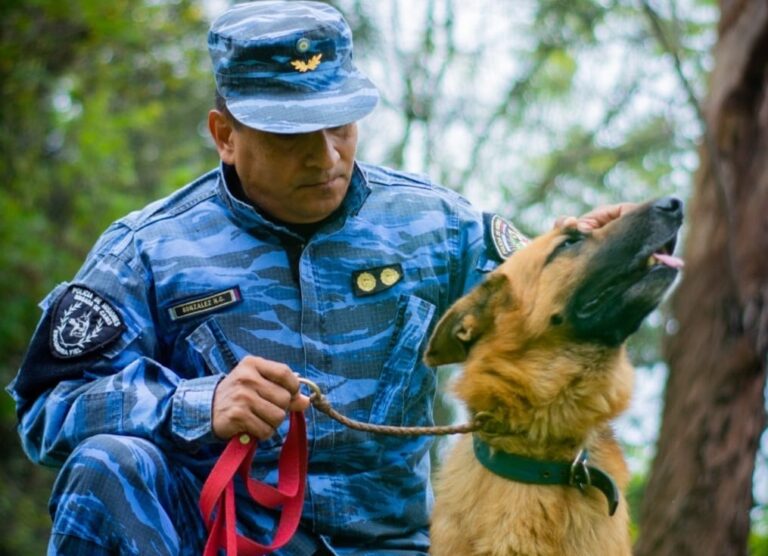 Compromiso y dedicación: el trabajo diario de los perros y sus guías en la Policía de Misiones