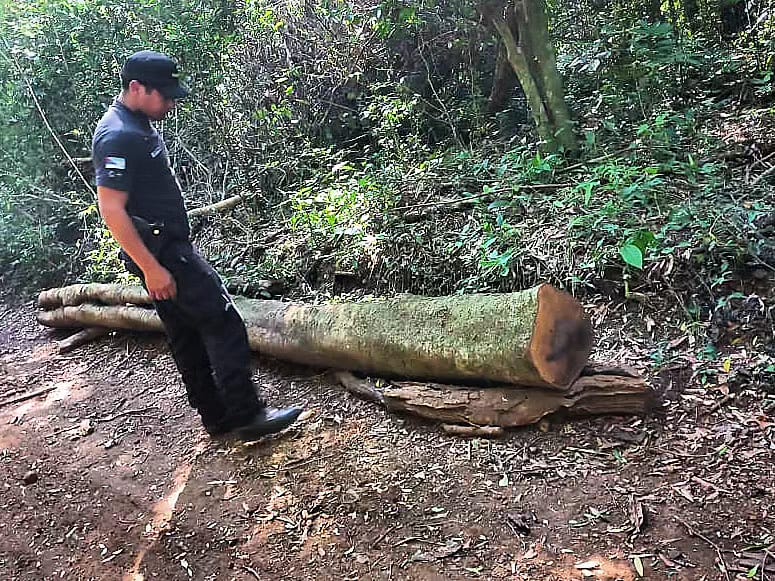 Recuperaron rollos de madera robados en General Urquiza y Santa María: hay tres detenidos