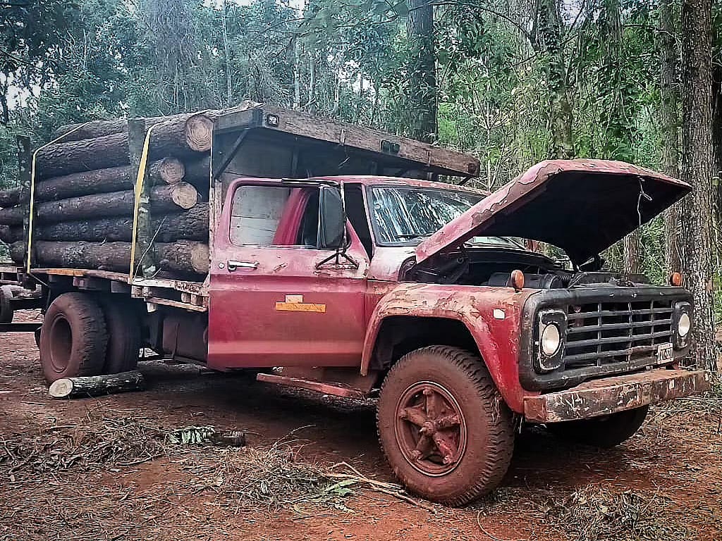 Recuperaron rollos de madera robados en General Urquiza y Santa María: hay tres detenidos