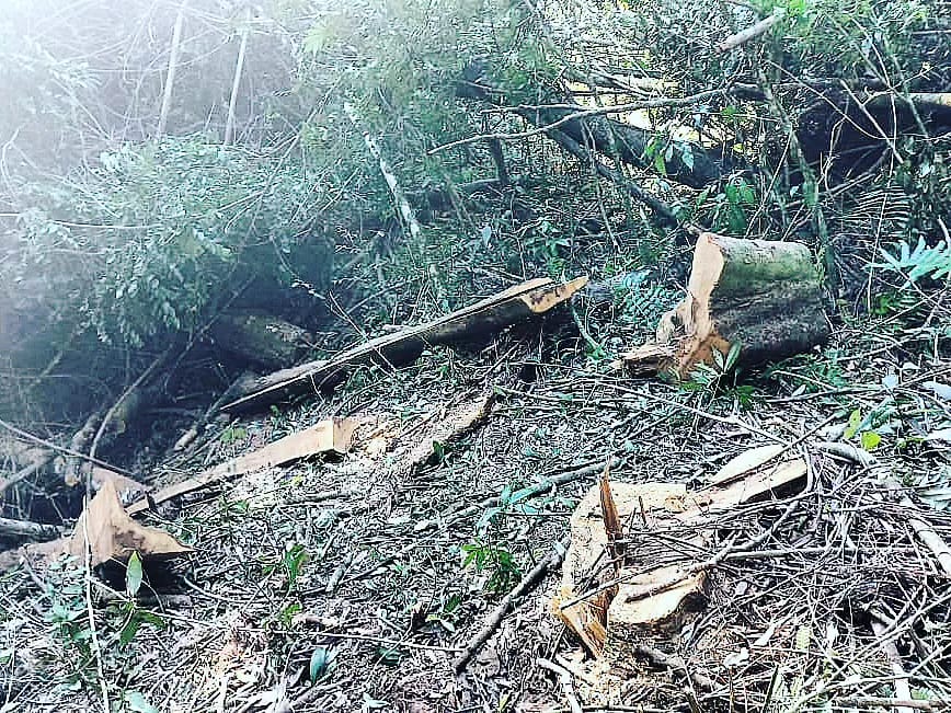 Tres detenidos por robar rollos de madera a colonos de General Urquiza y Santa María