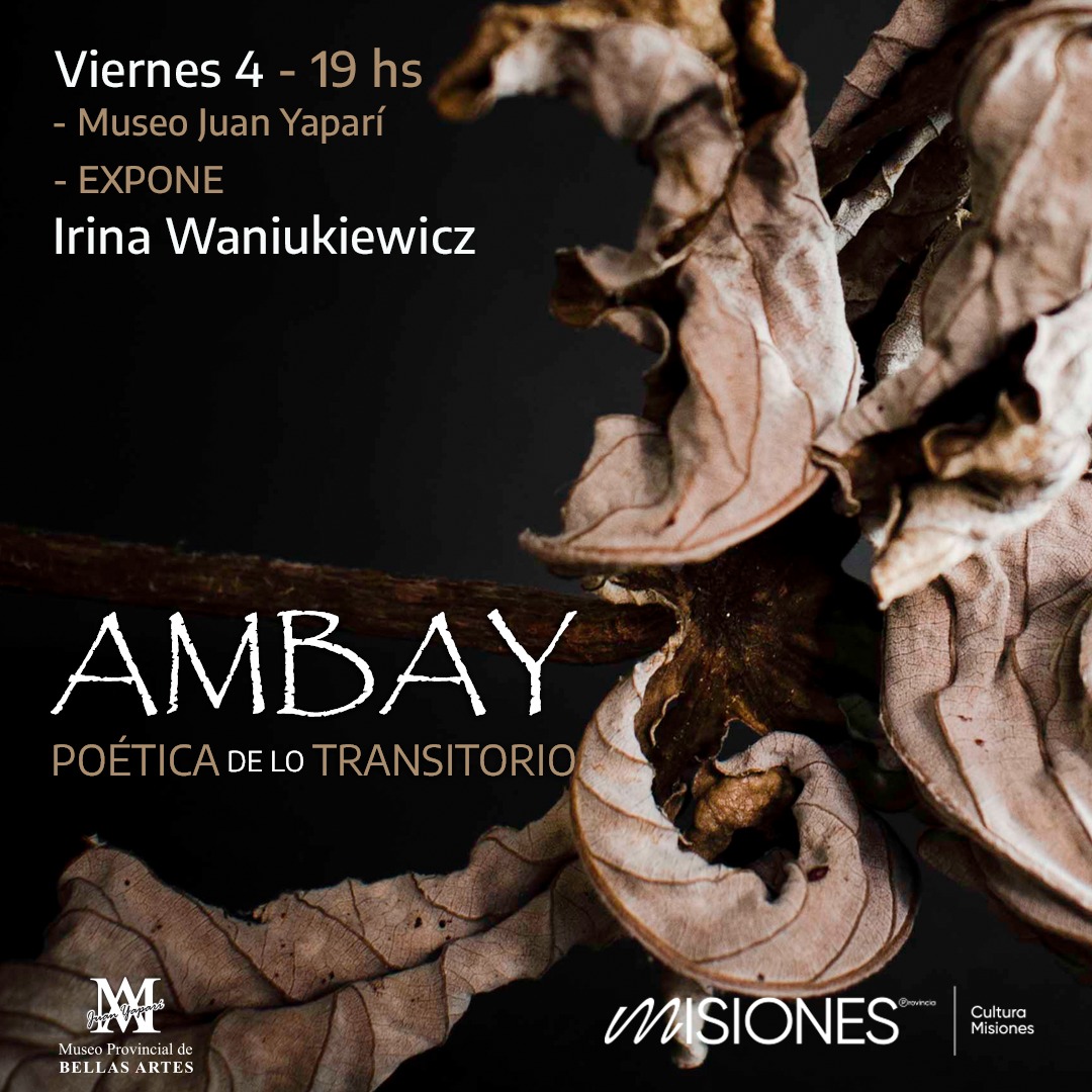 Este viernes inauguran la muestra “Ambay, Poética de lo Transitorio” en el museo Juan Yaparí