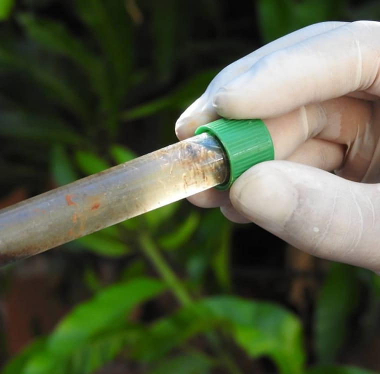 Piden eliminar los criaderos de mosquitos en las viviendas luego de las lluvias