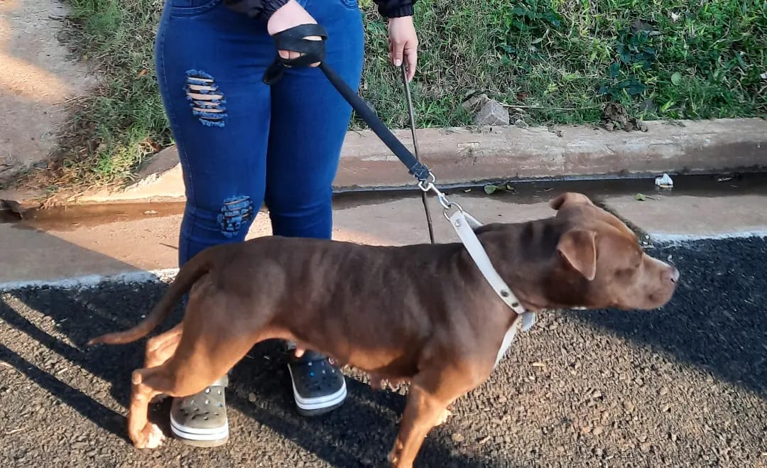 El IMuSA continua con los operativos en barrios posadeños