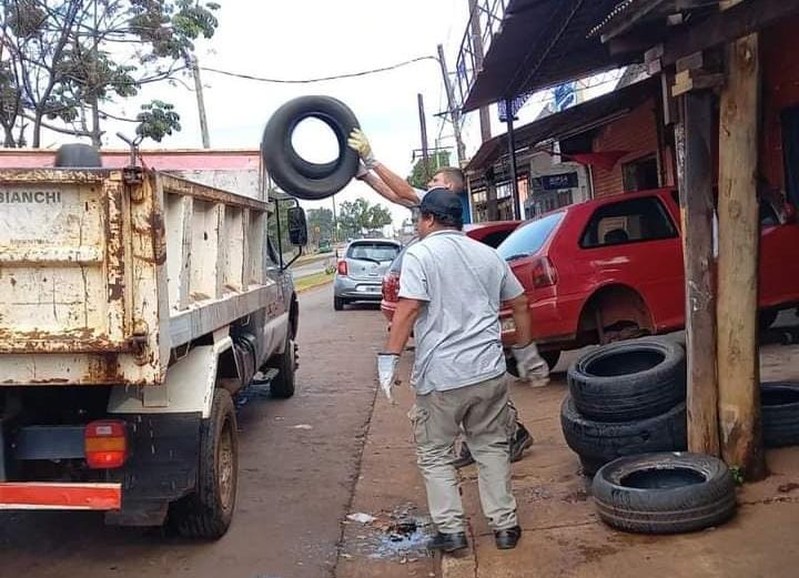 Siguen los operativos de control focal y descacharrización en Posadas 2 4 - IMG 20230821 WA0063 1 - 3