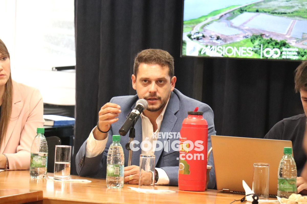 Presupuesto 2024: Energía apostará a la mejora del sistema interconectado