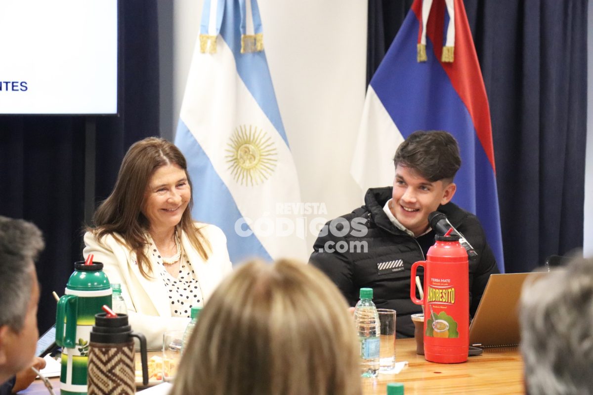 Con nuevas inversiones y obras proyectadas, Energía de Misiones expuso su Presupuesto 2024