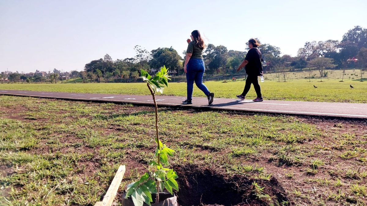 Jardin Botanico 1 - 1