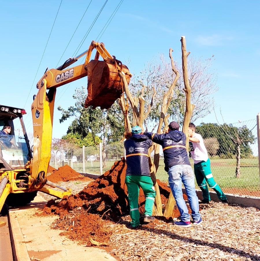 Relocalizaron 12 árboles en la parte exterior del Parque de la ciudad