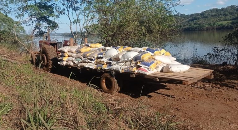 Secuestraron más de 14 mil kilos de soja ilegal y armas de fuego en Alba Posse