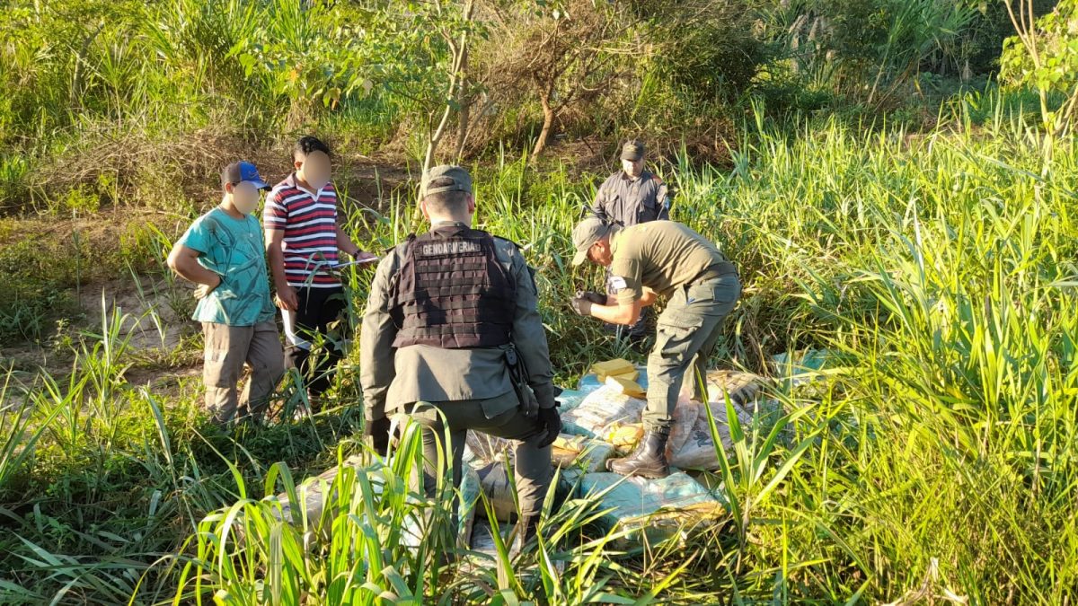 gendarmes incautan mas de una tonelada y media de marihuana en zona montuosa 2 - 7