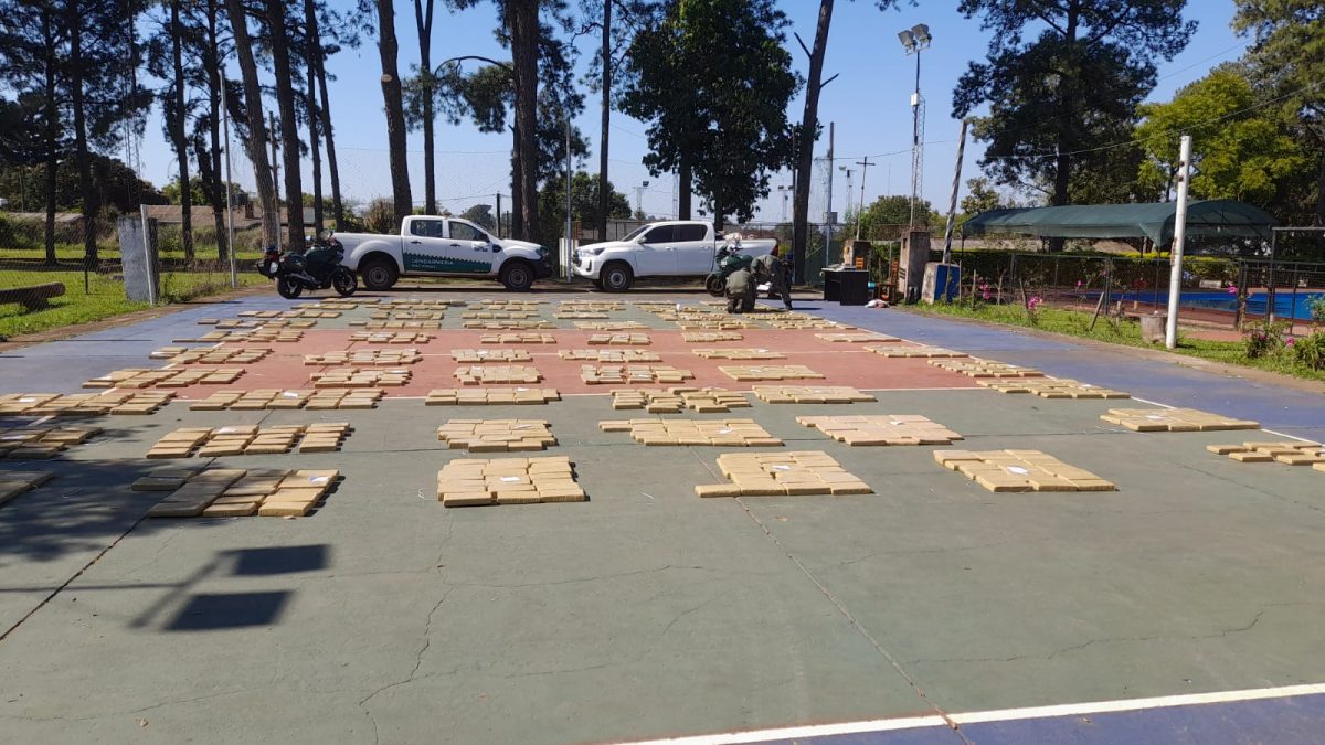 gendarmes incautan mas de una tonelada y media de marihuana en zona montuosa 5 - 3