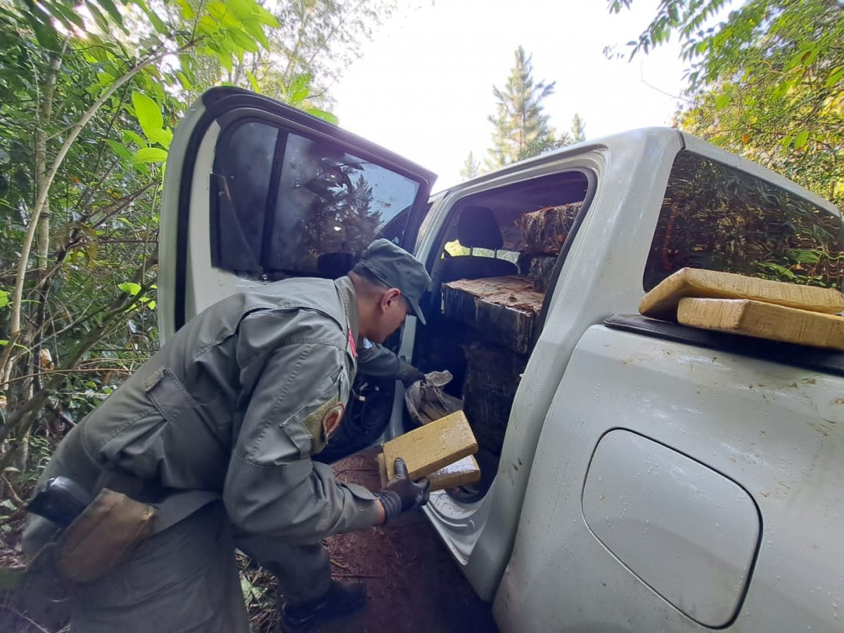 gendarmes incautan mas de una tonelada y media de marihuana en zona montuosa 6 - 1