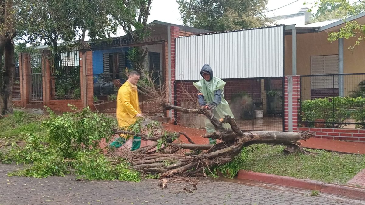 Recogen ramas de árboles caídos tras el fuerte temporal en Posadas