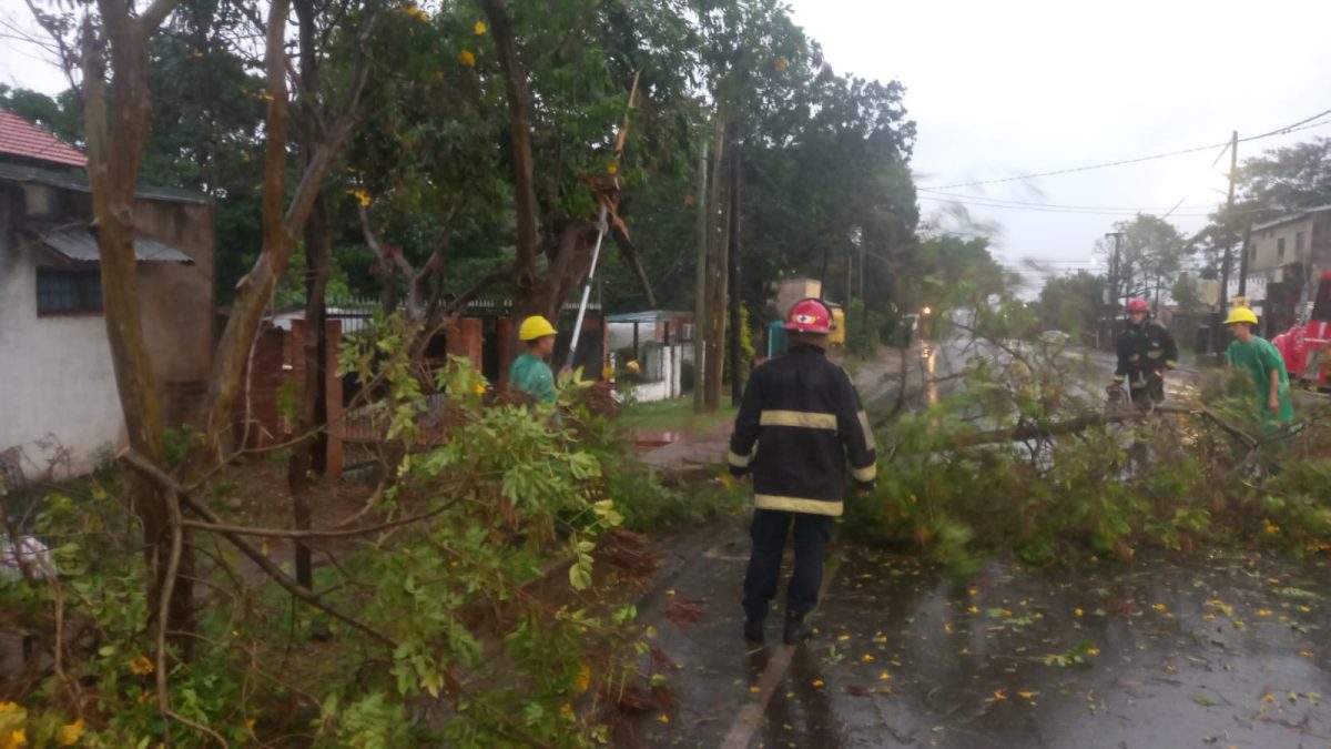 Recogen ramas de árboles caídos tras el fuerte temporal en Posadas