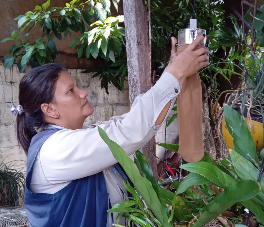 Promueven la concientización y prevención en la lucha contra la leishmaniasis en Posadas