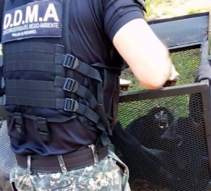 policia rescate animales 3 - 1