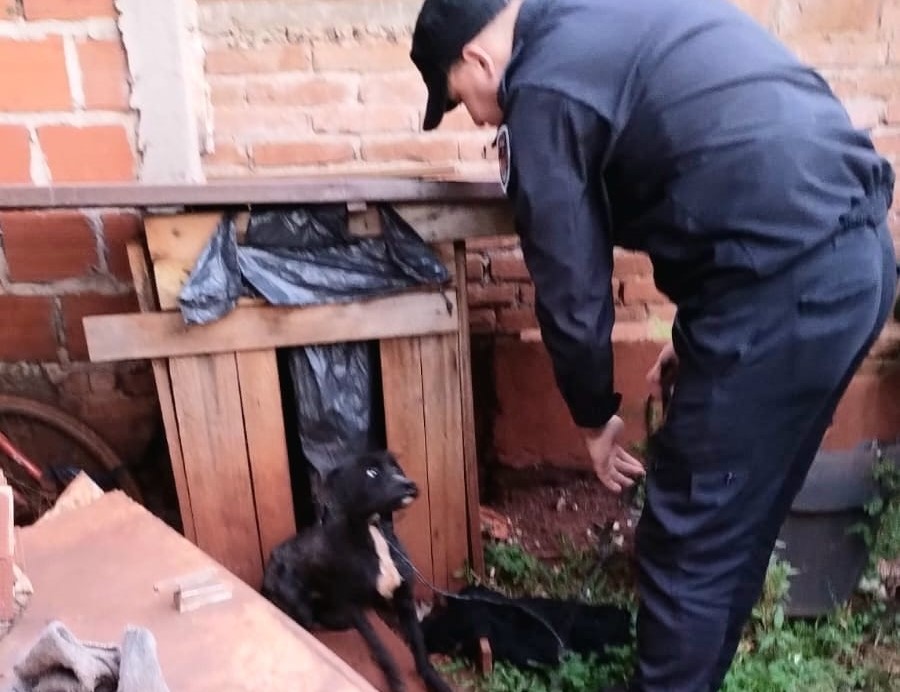 Rápida respuesta de la Policía ante requerimientos de rescatistas animales