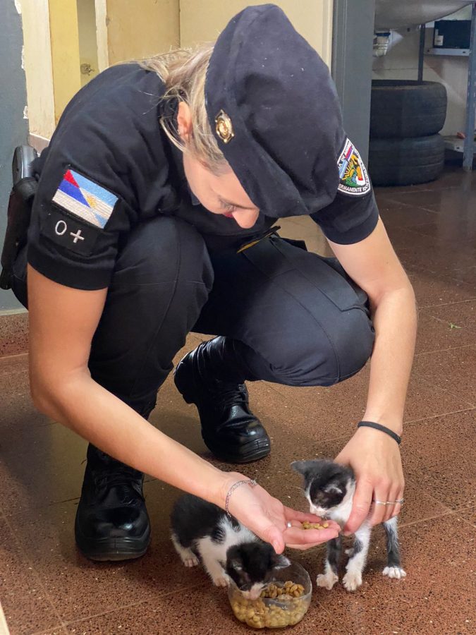 policia rescate animales 6 - 9