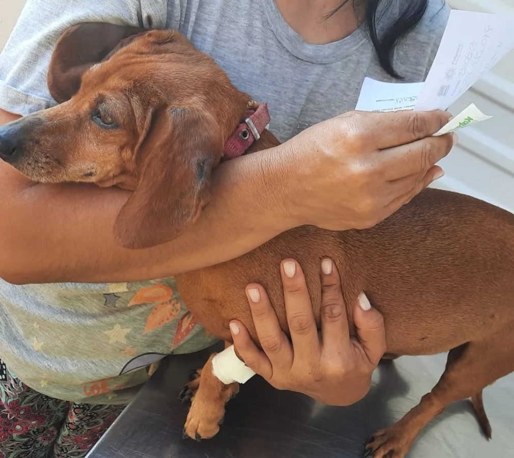 Realizaron un operativo para prevenir y combatir la leishmaniasis en Itaembé Guazú 1 2 - prevencion Leishmaniasis 2 - 1