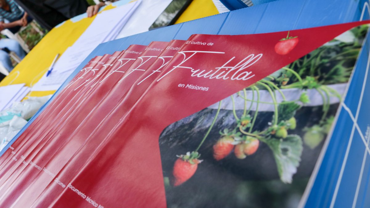 produccion de frutilla 4 - 5