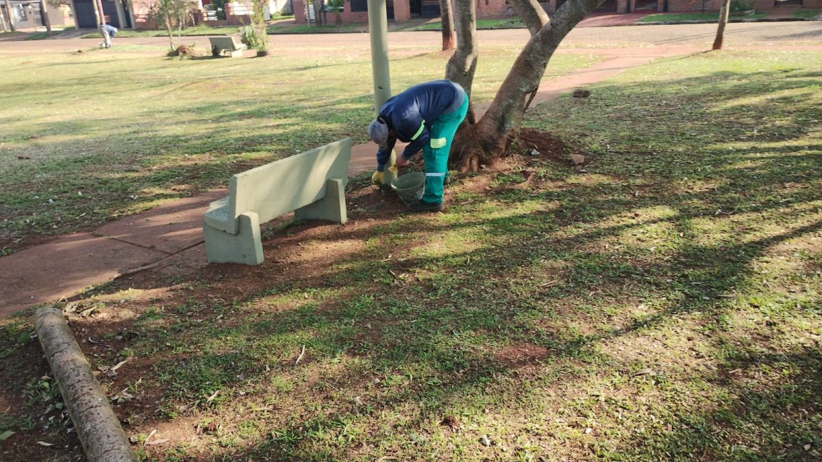 restauracion de plazas 1 - 3