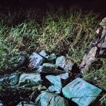 Secuestraron 415 kilos de marihuana en Eldorado y Posadas