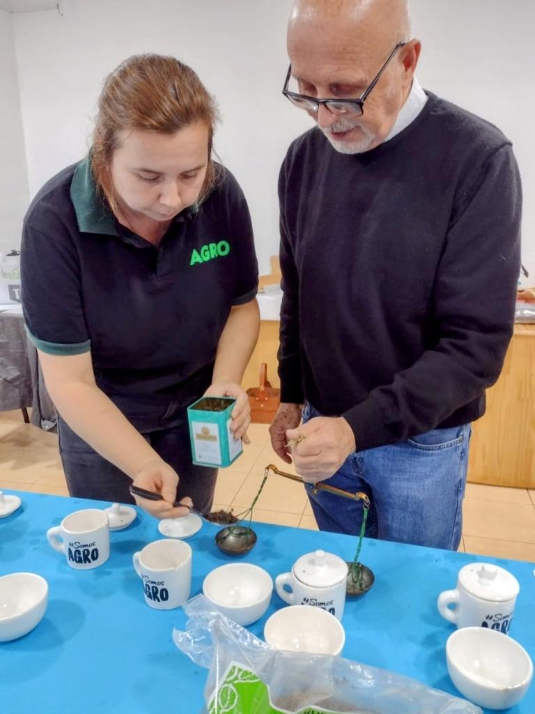 Misiones apunta a obtener la indicación geográfica del té argentino para fortalecer al sector