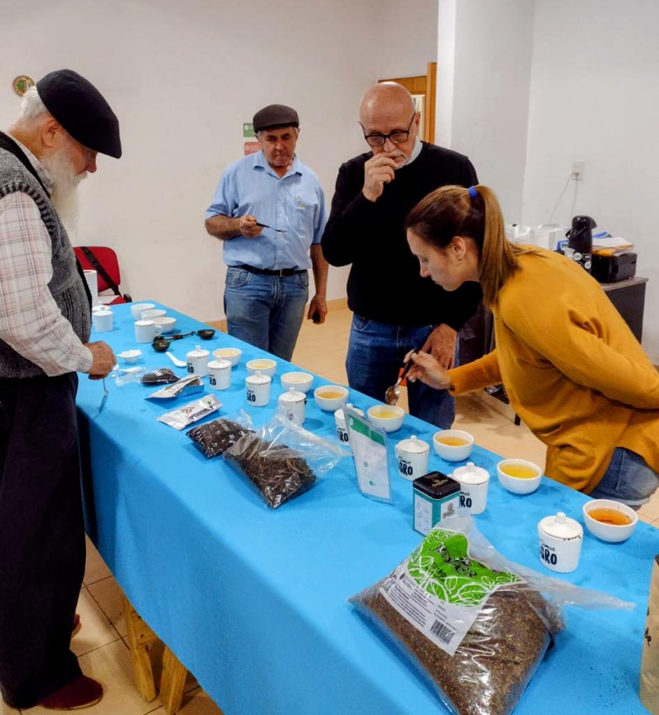 Misiones apunta a obtener la indicación geográfica del té argentino para fortalecer al sector