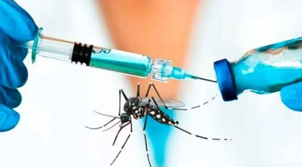 La vacuna contra el dengue llegaría durante la primavera al país