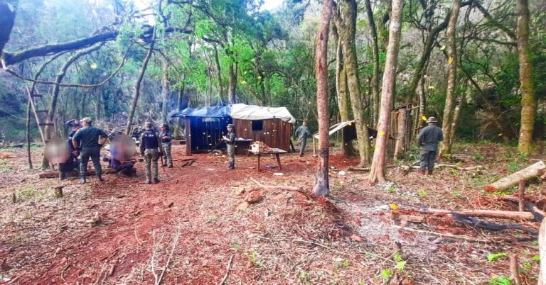 La policía detuvo a tres hombres tras desmantelar un campamento donde realizaban apeo ilegal